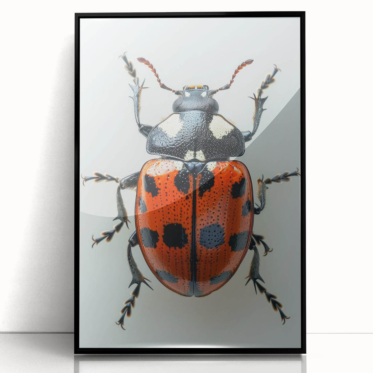 Framed acrylic wall art showcasing a vibrant ladybug design, featuring intricate details and a sleek black frame, perfect for insect-themed decor.