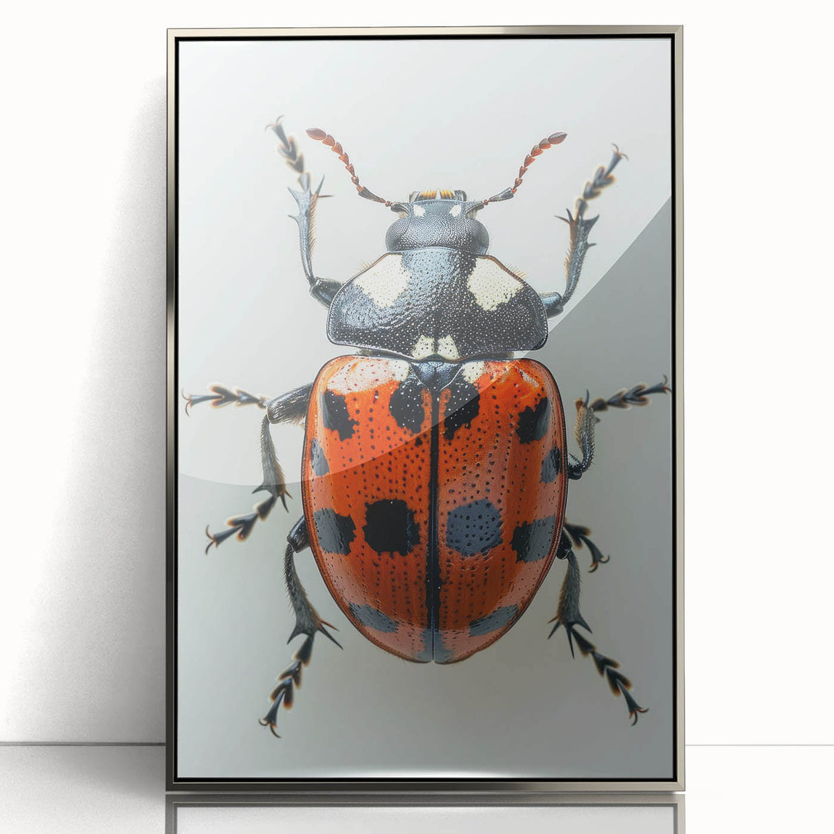 Framed wall art collection showcasing a vibrant ladybug design with intricate details, displayed in a sleek silver frame, perfect for nature-themed decor.