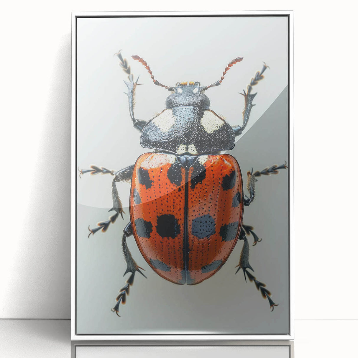 Framed acrylic wall art featuring a vibrant ladybug design on a white background, perfect for insect lovers and nature-themed decor, showcasing intricate details and colors.