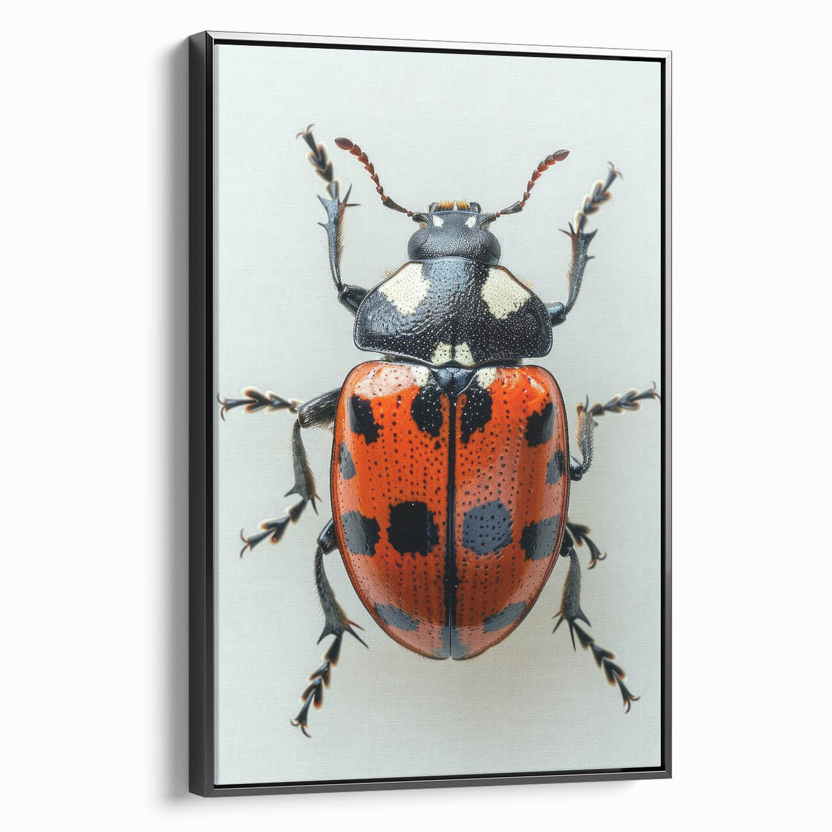 Framed canvas wall art showcasing a vibrant ladybug design against a sleek black background, perfect for enhancing modern home decor with a touch of nature.