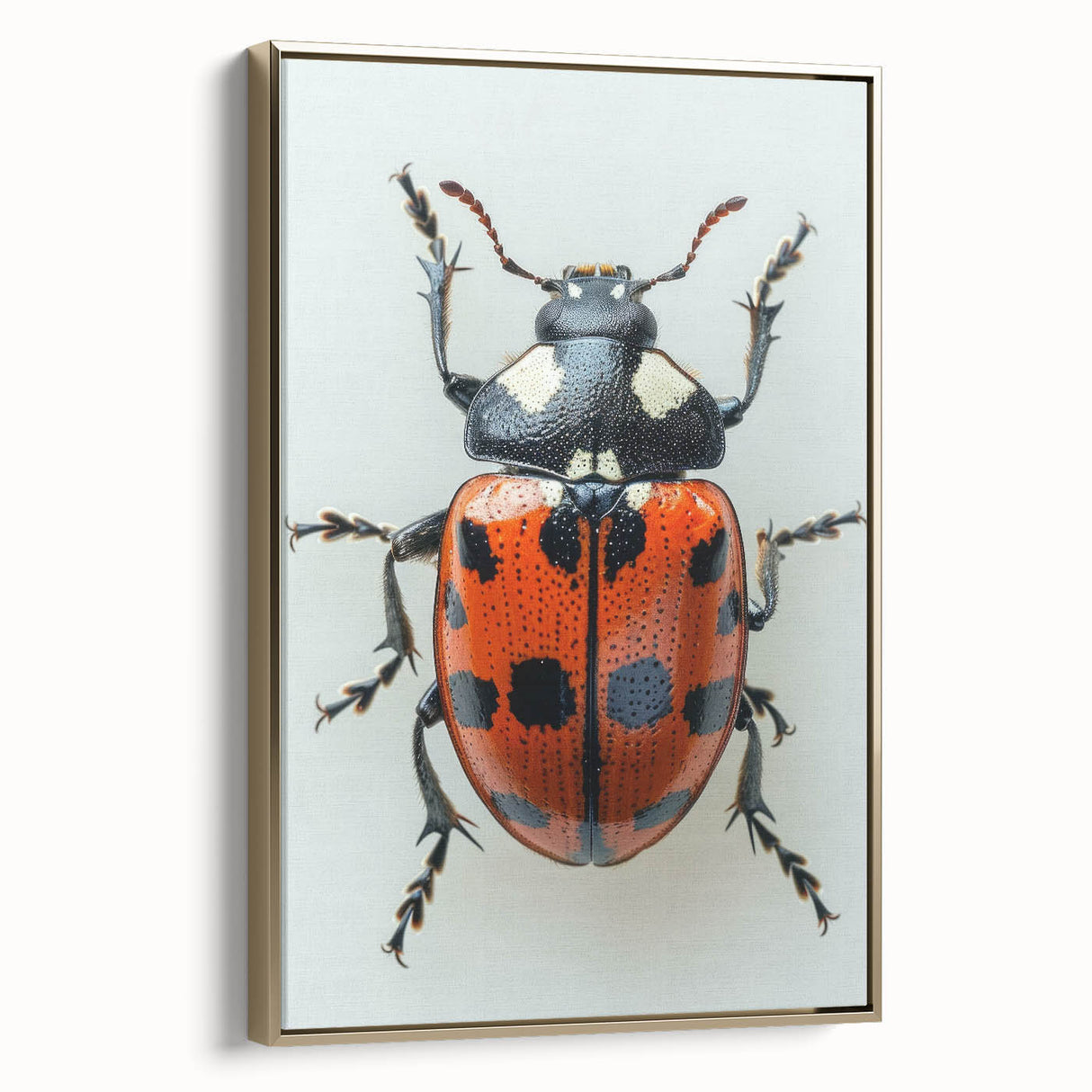 Framed wall art showcasing a vibrant ladybug design with intricate details and a gold frame, perfect for adding a touch of nature-inspired decor to any room.