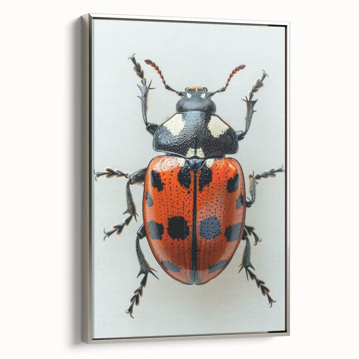 Framed wall art featuring a vibrant ladybug design on canvas, showcasing intricate details and rich colors, elegantly displayed from a side view with a sleek silver frame.
