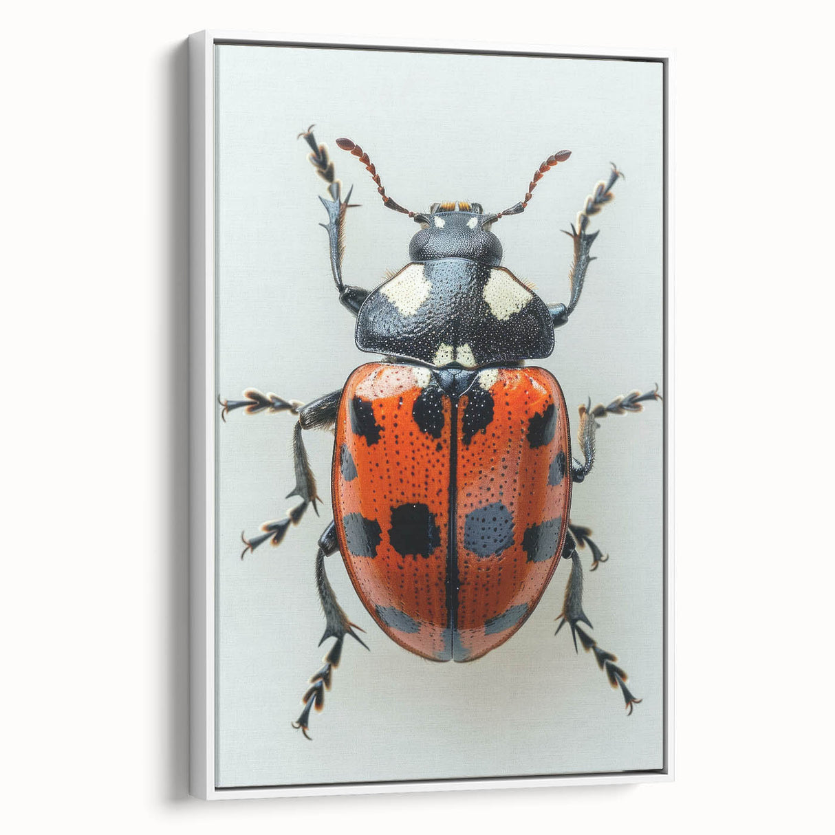 Framed canvas wall art featuring a vibrant ladybug design, showcasing intricate details and bold colors, perfect for adding a whimsical touch to home decor.