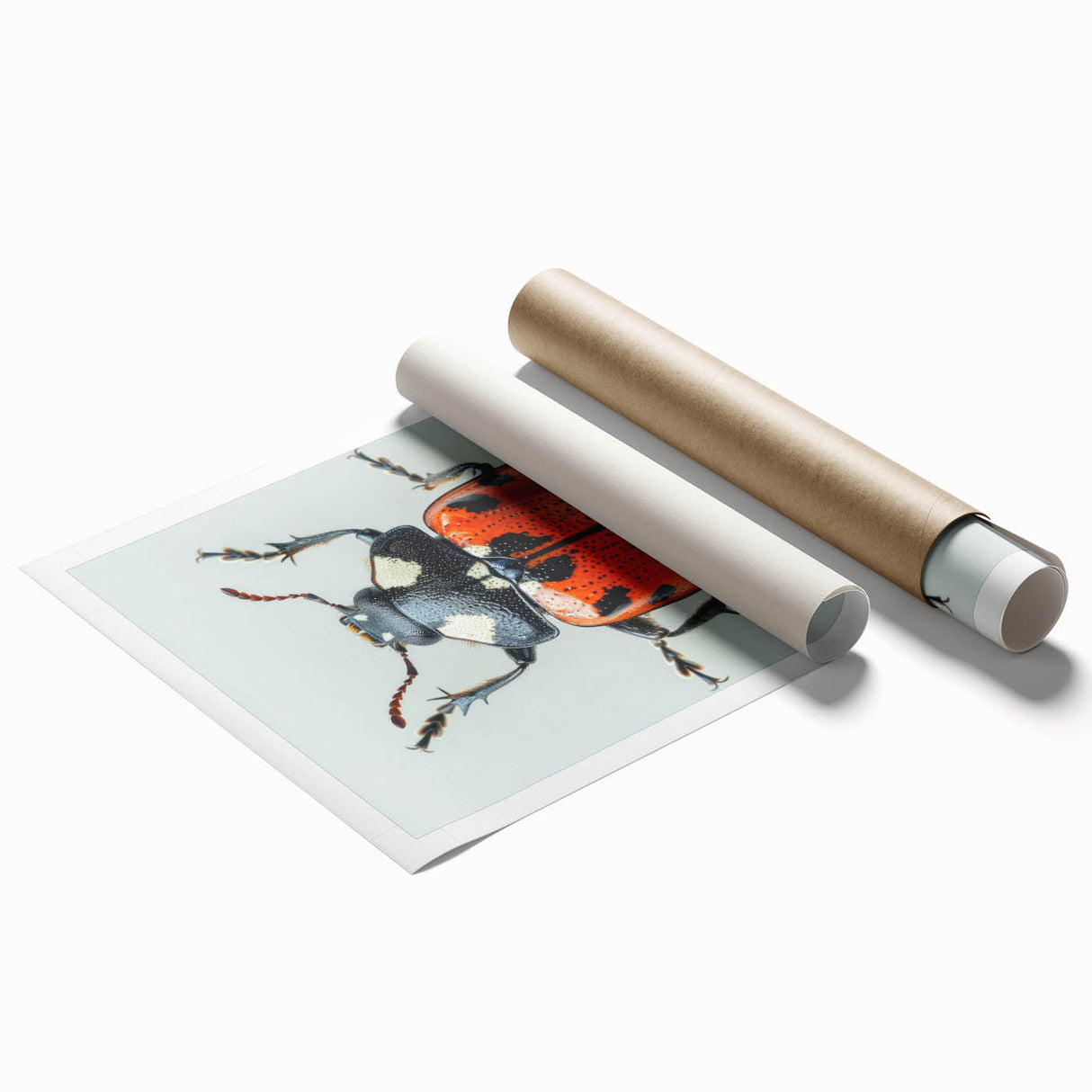 Vibrant rolled print of a ladybug design showcasing intricate details and vivid colors, perfect for enhancing home décor or educational spaces.