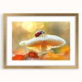 Gold-framed wall art featuring a vibrant ladybug design with intricate details, showcasing its colorful spots and unique patterns, perfect for insect lovers.