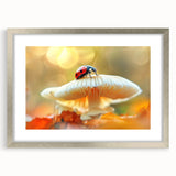 Framed wall art featuring a vibrant ladybug design from the Insect and Arachnid collection, showcasing intricate details and a sleek silver frame with matting.