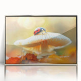 Framed wall art featuring a vibrant ladybug design on acrylic, showcasing intricate details and vivid colors, perfect for insect-themed decor in modern spaces.