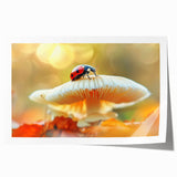 Colorful ladybug wall art print featuring intricate designs, showcasing vibrant red and black patterns, perfect for nature-themed decor. Ideal for children's rooms or insect enthusiasts.
