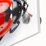 Close-up of a vibrant acrylic glass wall art collection featuring a detailed ladybug design, perfect for insect enthusiasts and modern home decor.