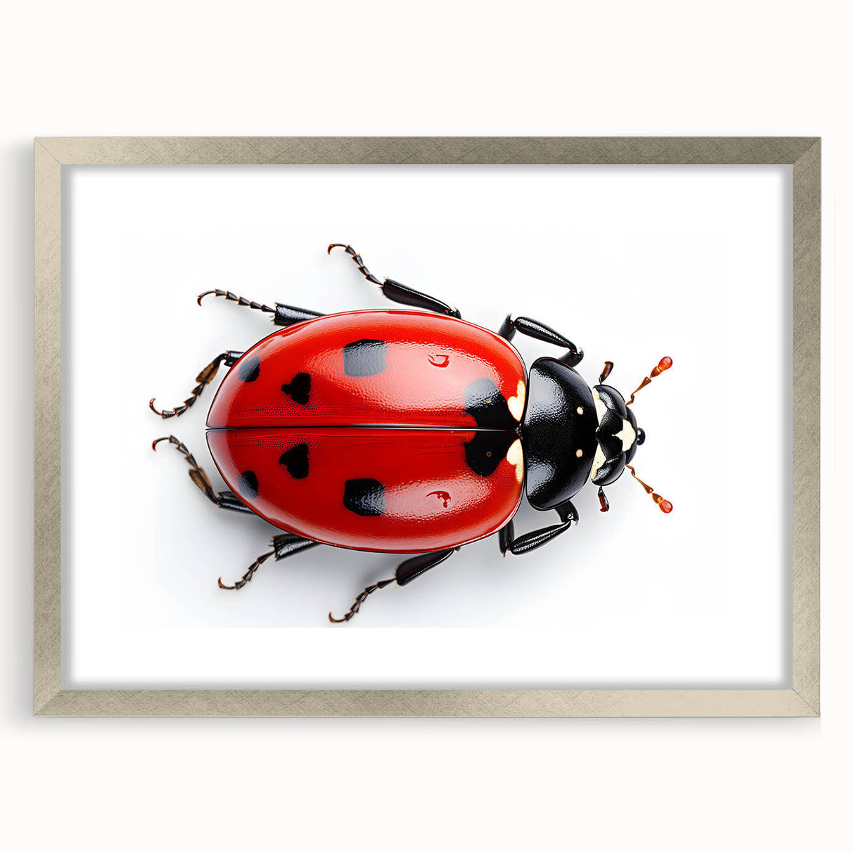 Framed wall art collection featuring a vibrant ladybug design, elegant silver frame, and mat, ideal for nature-themed decor and insect enthusiasts.