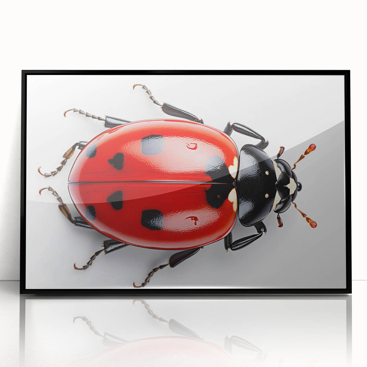 Framed acrylic wall art showcasing a vibrant ladybug design, set against a black background, perfect for adding a touch of nature-inspired decor to any room.