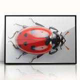 Framed acrylic wall art showcasing a vibrant ladybug design, set against a black background, perfect for adding a touch of nature-inspired decor to any room.