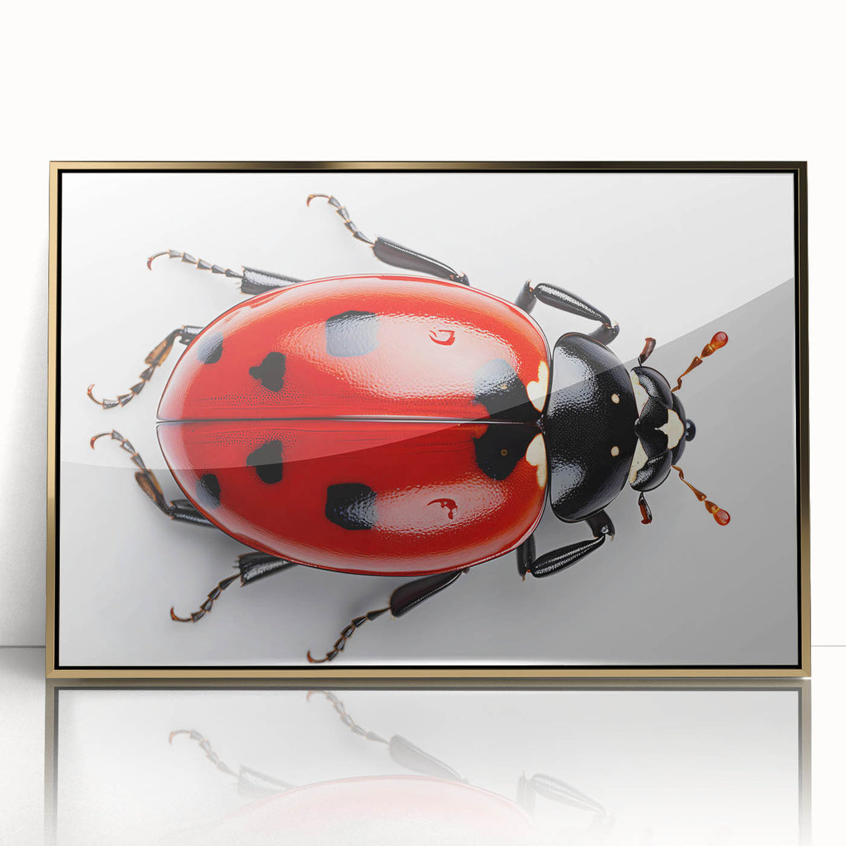 Framed wall art featuring a colorful ladybug design, showcasing intricate details in red, black, and gold. Perfect for nature enthusiasts and home decor.