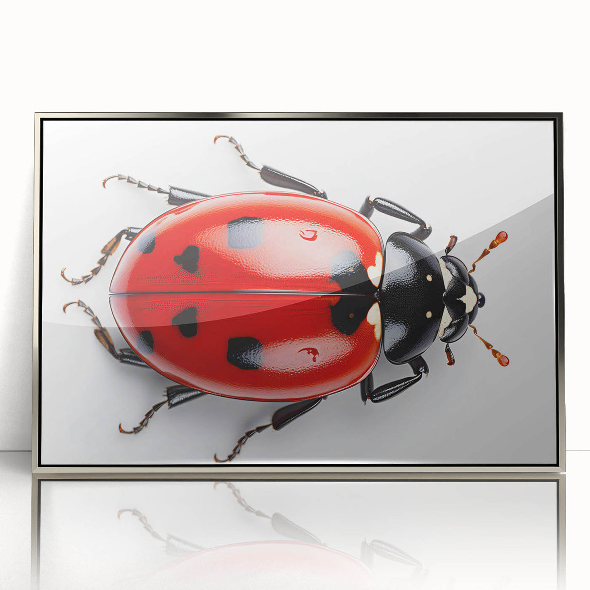 Framed acrylic wall art featuring a detailed ladybug design from the Insect and Arachnid collection, displayed with a sleek silver frame, perfect for nature enthusiasts.