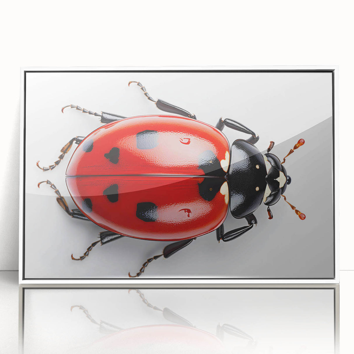 Framed acrylic wall art featuring a vibrant ladybug design, showcasing intricate details and bright colors against a white background, perfect for nature-themed decor.
