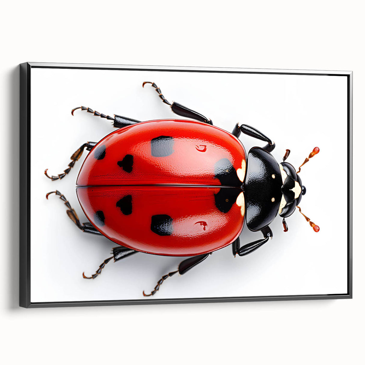 Framed wall art showcasing a detailed ladybug design on a black canvas, emphasizing vibrant colors and intricate patterns, ideal for insect-themed decor.