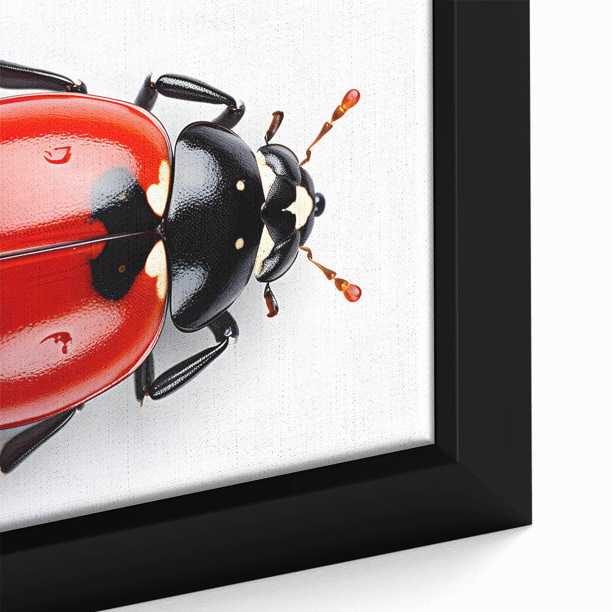Close-up view of a framed wall art piece showcasing a vibrant ladybug design, featuring intricate details and bright colors on canvas, ideal for nature-inspired decor.