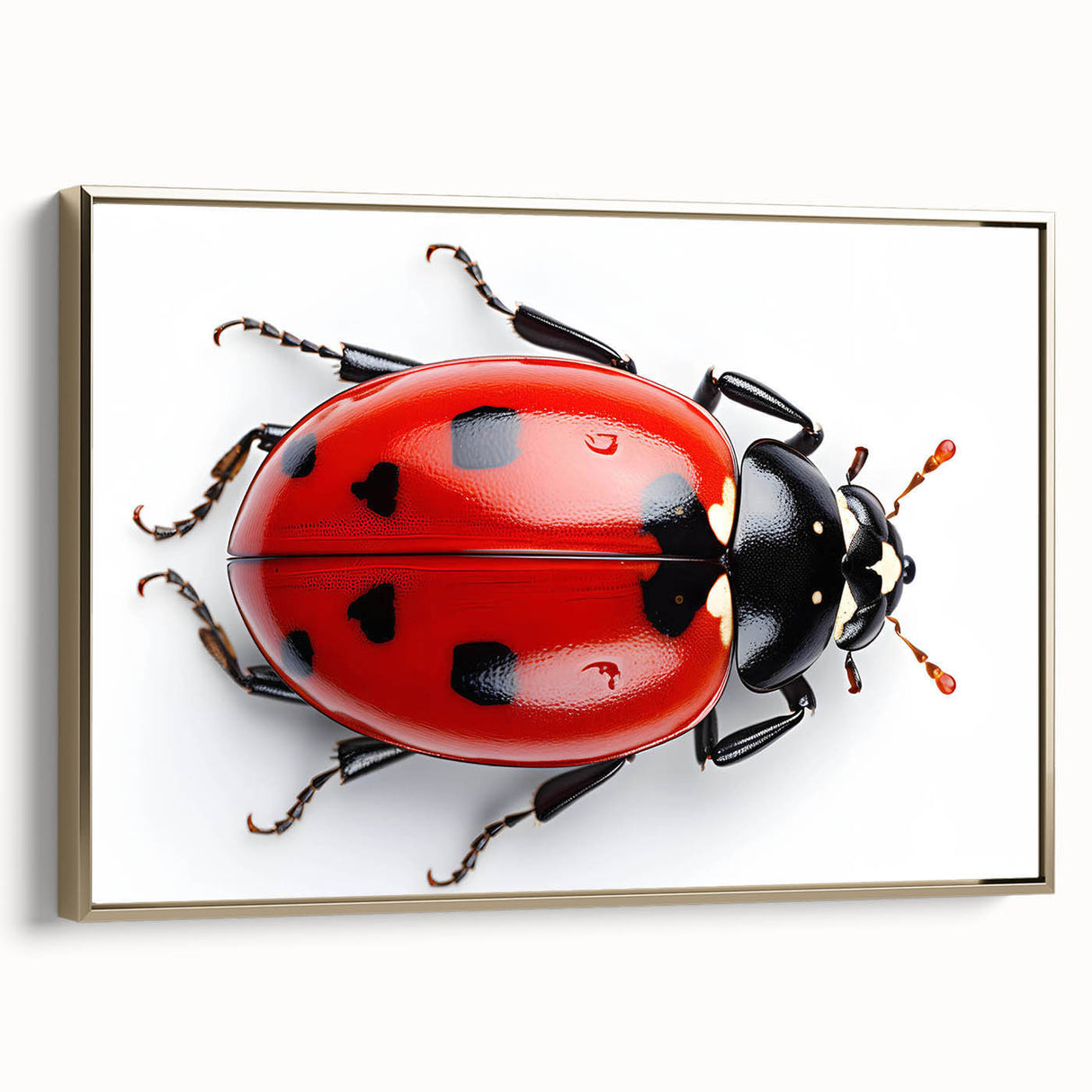 Framed canvas wall art showcasing a vibrant ladybug design from the insect and arachnid collection, featuring a gold frame and side view perspective, ideal for nature enthusiasts.