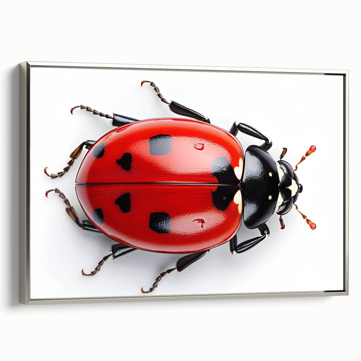 Framed canvas wall art showcasing a vibrant ladybug design, featuring intricate details, a silver frame, and a stylish side view for modern decor.
