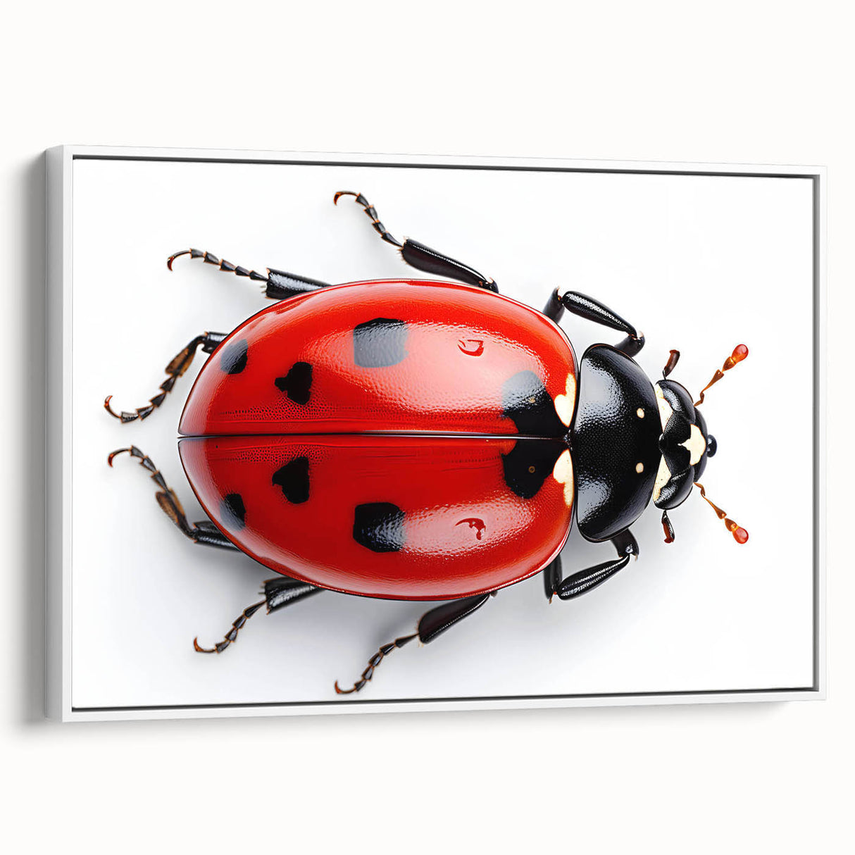 Framed canvas wall art showcasing a vibrant ladybug design against a white background, perfect for insect-themed decor. Ideal for nature lovers and children's rooms.