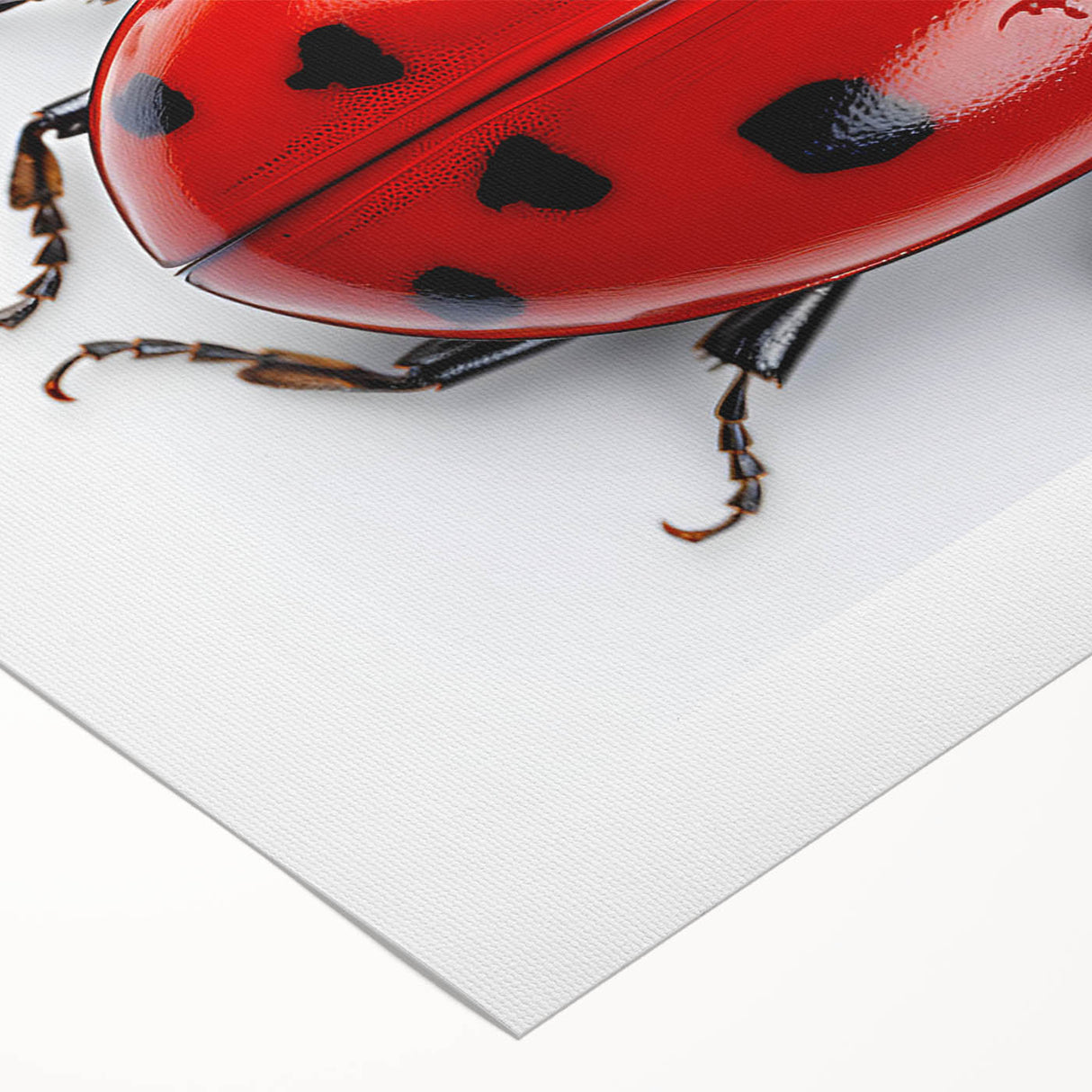 Vibrant rolled canvas wall art featuring a detailed design of ladybugs, perfect for nature enthusiasts. The colorful illustration showcases intricate details and textures, ideal for home decor or educational purposes.
