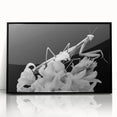 Framed wall art featuring a detailed mantis design, showcasing vibrant colors against a sleek black background, perfect for insect enthusiasts and modern decor.