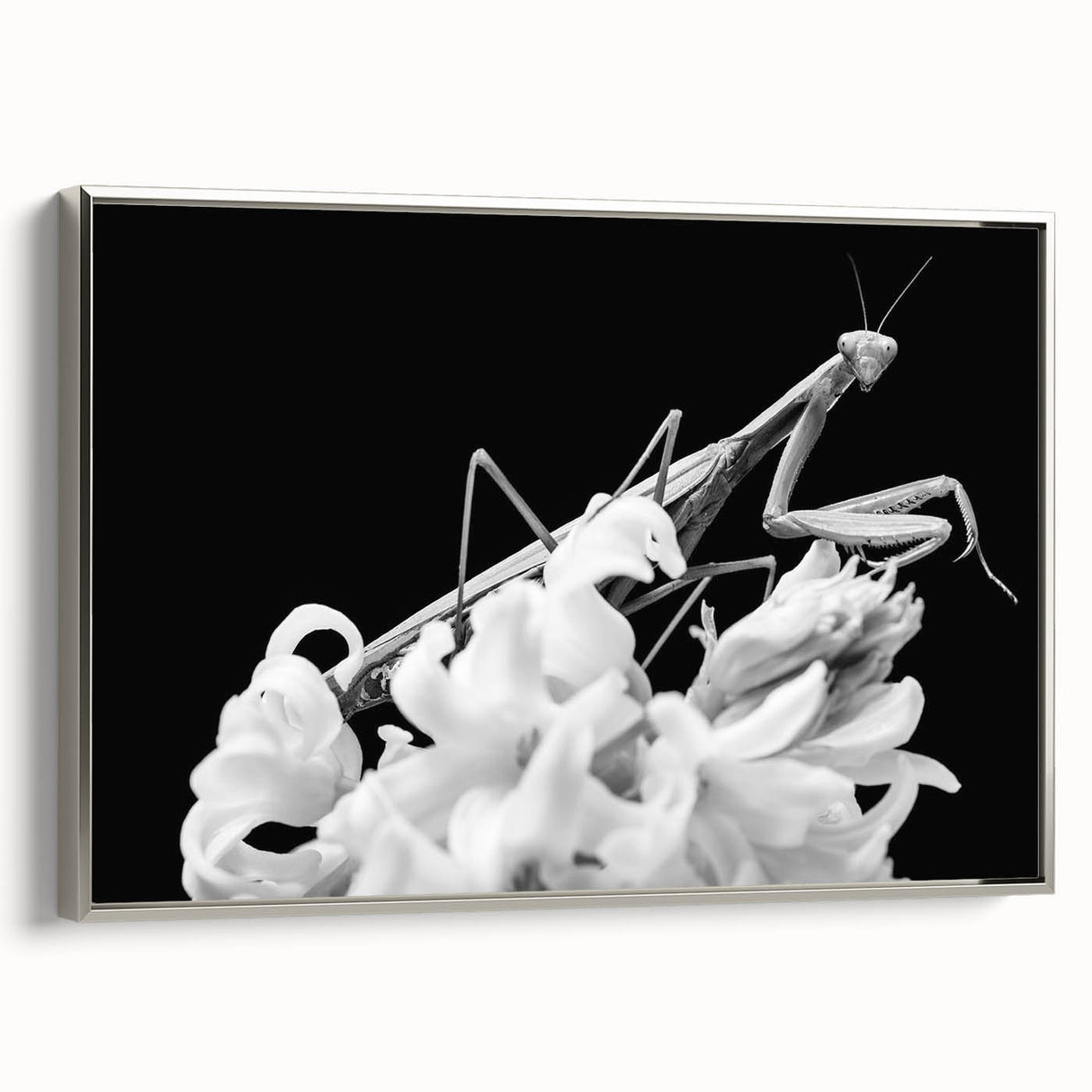 Framed wall art featuring a detailed mantis design on a textured canvas, elegantly presented with a silver frame, ideal for insect-themed decor.