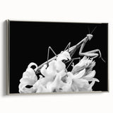 Framed wall art featuring a detailed mantis design on a textured canvas, elegantly presented with a silver frame, ideal for insect-themed decor.