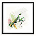 Framed wall art showcasing a detailed mantis design in a black frame with a white mat, perfect for insect enthusiasts and modern decor. Ideal for enhancing home aesthetics.
