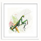 Framed wall art showcasing a detailed mantis design in a minimalist white mat, perfect for insect enthusiasts and modern decor. Ideal for adding a touch of nature to any space.
