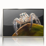 Framed acrylic wall art featuring a detailed insect and arachnid spider design, showcasing intricate patterns and a sleek silver frame for modern decor.