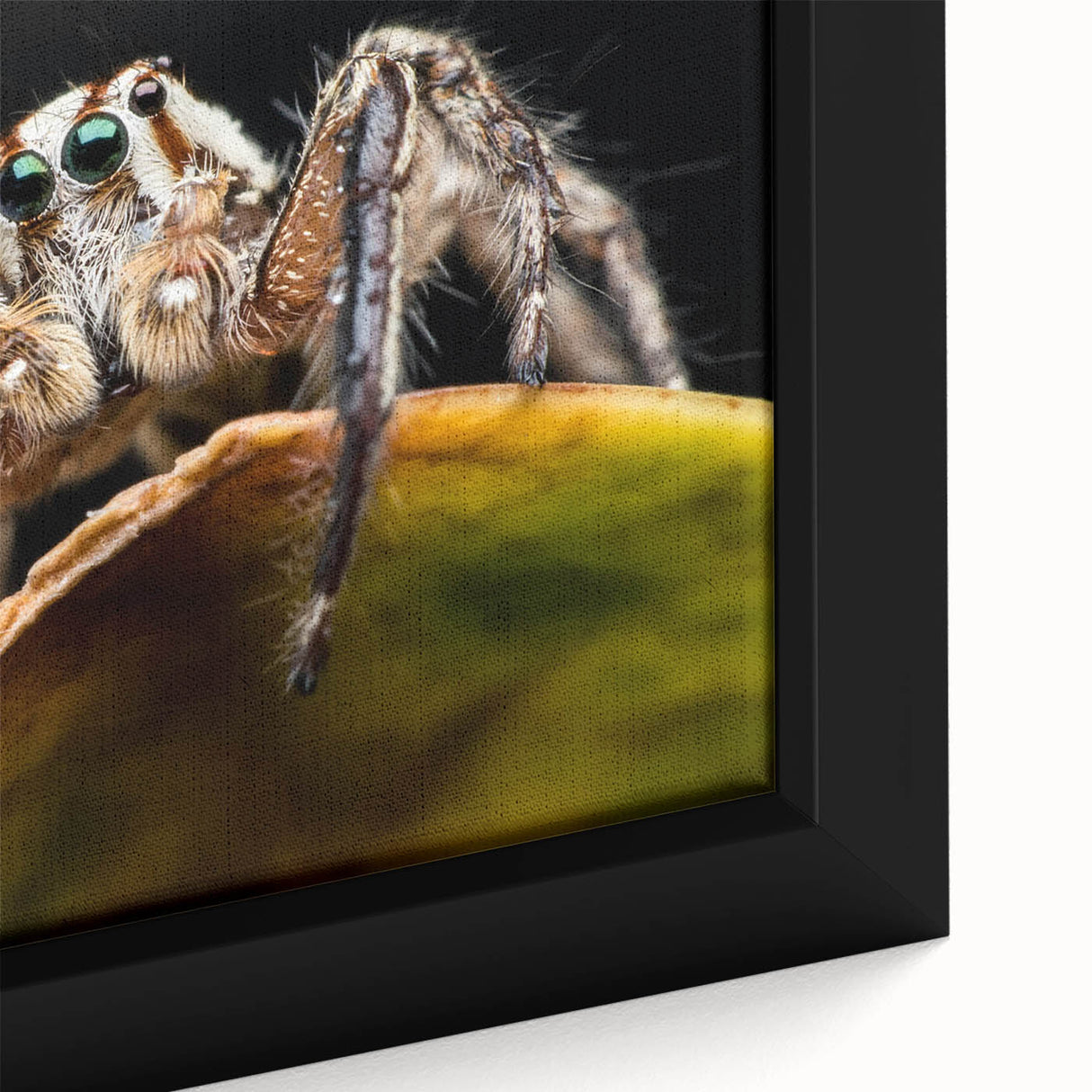 Close-up of a framed canvas wall art featuring intricate insect and arachnid designs, showcasing vibrant colors and detailed textures for nature enthusiasts.