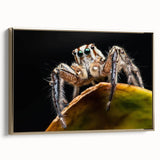 Framed wall art featuring a detailed insect and arachnid spider design on canvas with a gold frame, ideal for nature enthusiasts and home decor.