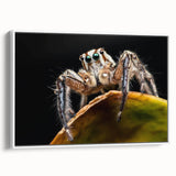 Framed wall art showcasing intricate insect and arachnid spider designs on a white canvas, perfect for nature enthusiasts and modern decor. The side view highlights the artwork's vibrant colors and detailed illustrations, enhancing any interior space.