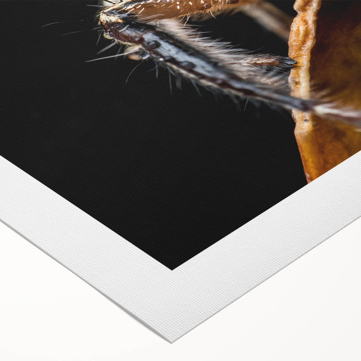 Intricate wall art design showcasing various insects and arachnids, displayed on rolled canvas with a vibrant color palette, ideal for nature enthusiasts and decor lovers. Perfect for enhancing home or office aesthetics.