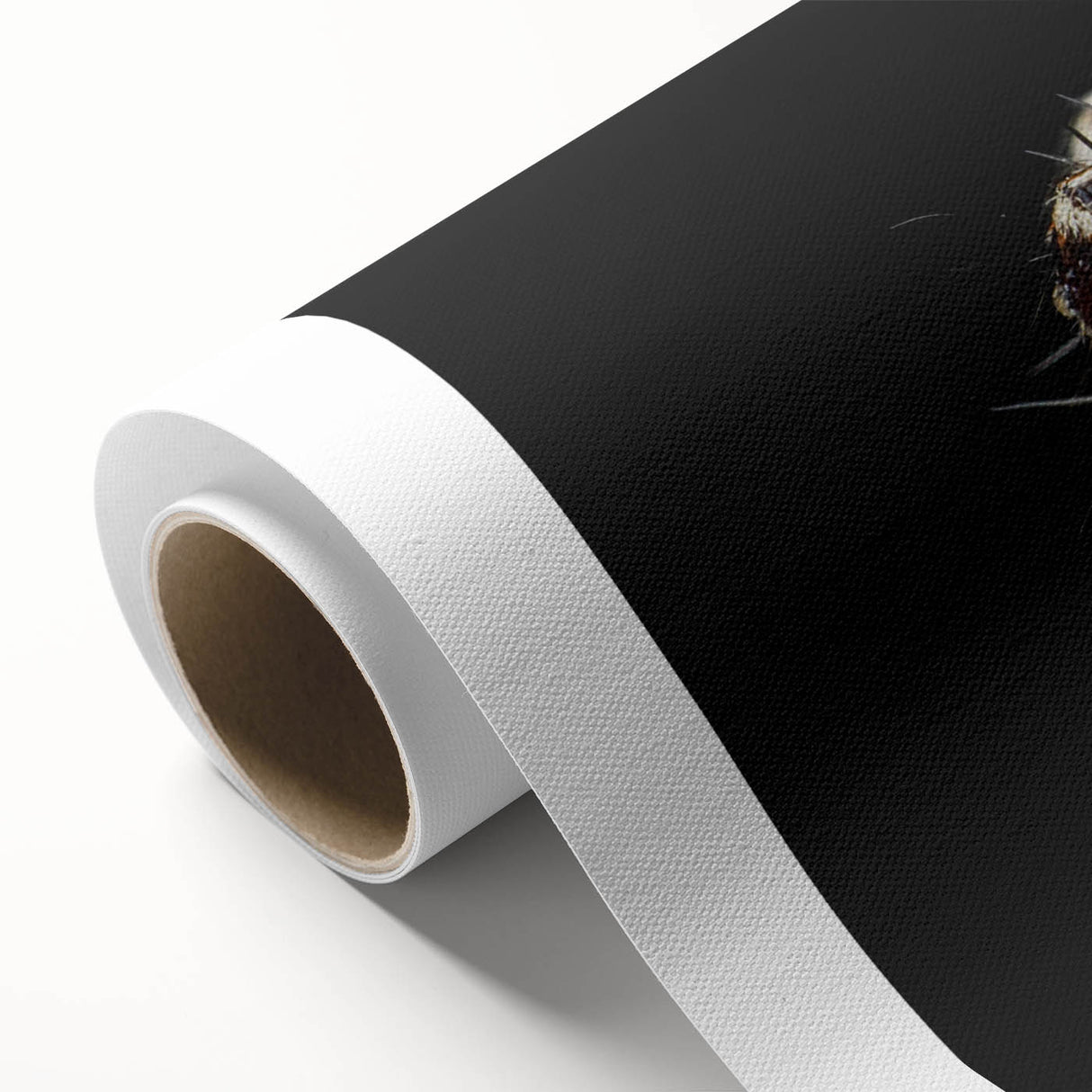 Intricate wall art design showcasing a colorful insect and arachnid theme on rolled canvas, ideal for nature enthusiasts and home decor. Perfect for vibrant interiors.