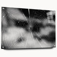 Acrylic wall art collection showcasing a detailed insect and arachnid spider design, featuring vibrant colors and intricate patterns, displayed with pins against a clean background. Perfect for nature lovers and art enthusiasts.