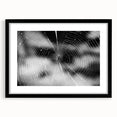 Framed wall art showcasing a detailed spider design from the Insect and Arachnid collection, featuring a sleek black frame and mat, perfect for nature enthusiasts.