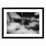 Framed wall art showcasing a detailed spider design from the Insect and Arachnid collection, featuring a sleek black frame and mat, perfect for nature enthusiasts.
