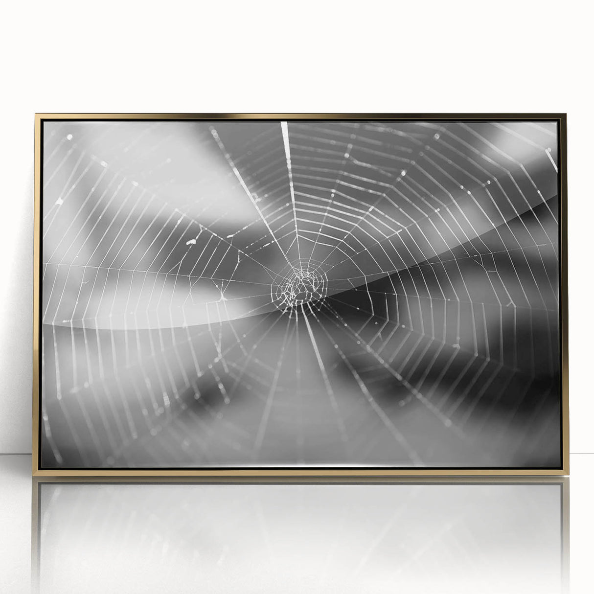 Framed wall art collection showcasing intricate insect and arachnid spider designs in gold-acrylic finish, perfect for nature enthusiasts and modern decor.