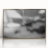 Framed wall art collection showcasing intricate insect and arachnid spider designs in gold-acrylic finish, perfect for nature enthusiasts and modern decor.