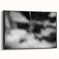 Framed wall art featuring a detailed insect and arachnid spider design, elegantly displayed in black, adding a modern touch to any interior decor. Perfect for nature enthusiasts and art collectors.