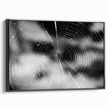 Framed wall art featuring a detailed insect and arachnid spider design, elegantly displayed in black, adding a modern touch to any interior decor. Perfect for nature enthusiasts and art collectors.