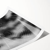 Artistic rolled print showcasing a detailed insect and arachnid spider design, perfect for nature enthusiasts and home decor, packaged securely in a protective tube.