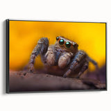 Framed wall art collection showcasing intricate insect and arachnid spider designs on canvas, featuring a sleek black frame and detailed imagery for nature enthusiasts.
