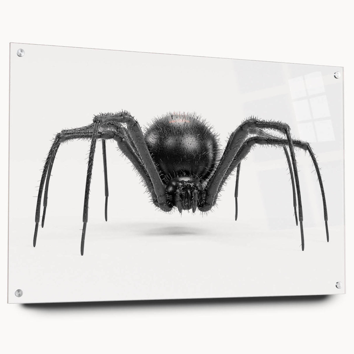 Acrylic glass wall art showcasing a detailed insect and arachnid spider design, featuring vibrant colors and a side view with decorative pins for display. Perfect for nature enthusiasts and modern decor.