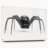 Acrylic glass wall art showcasing a detailed insect and arachnid spider design, featuring vibrant colors and a side view with decorative pins for display. Perfect for nature enthusiasts and modern decor.