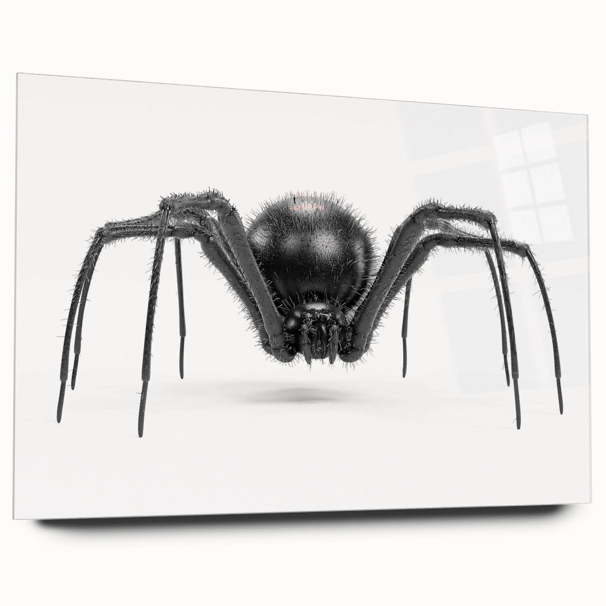 Acrylic glass wall art collection showcasing a detailed insect and arachnid spider design, viewed from the side, perfect for nature-themed decor enthusiasts.