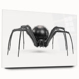 Acrylic glass wall art collection showcasing a detailed insect and arachnid spider design, viewed from the side, perfect for nature-themed decor enthusiasts.