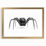 Framed wall art collection showcasing a detailed insect and arachnid spider design, featuring a gold frame and mat, perfect for nature enthusiasts and decor lovers.